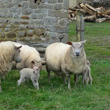 Holiday home Maison Normande Authentique, Accessible Pmr, Animaux Bienvenus, Activites Nature Et Calme Assure - Fr-1-497-74 *