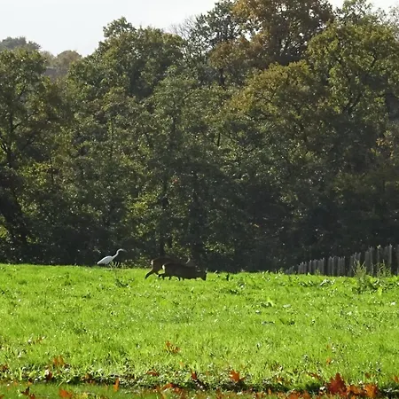 펜션 Tranquille Avec Poele Et Animaux Admis, Proche Nature - Fr-1-497-74 *