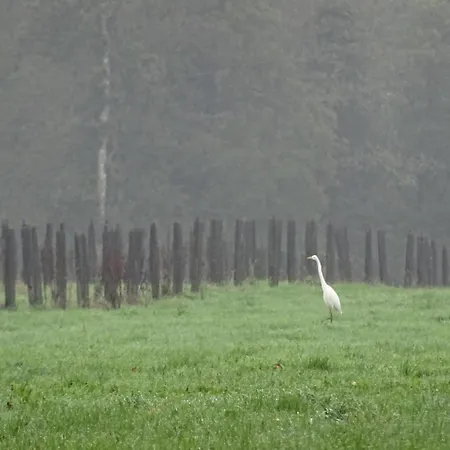 Tranquille Avec Poele Et Animaux Admis, Proche Nature - Fr-1-497-74 펜션 Saint-Fraimbault-sur-Pisse