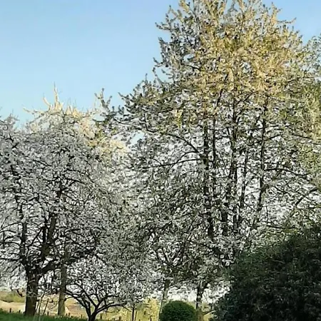 Tranquille Avec Poêle Et Animaux Admis, Proche Nature - Fr-1-497-74 *