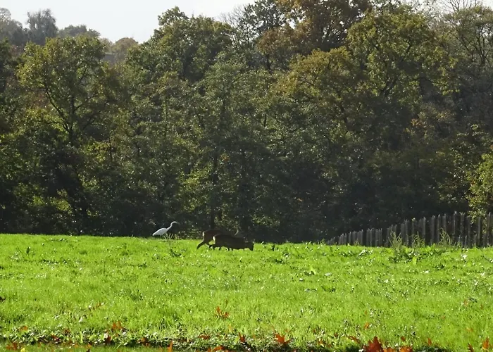 Casa vacanze Tranquille Avec Poele Et Animaux Admis, Proche Nature - Fr-1-497-74 *