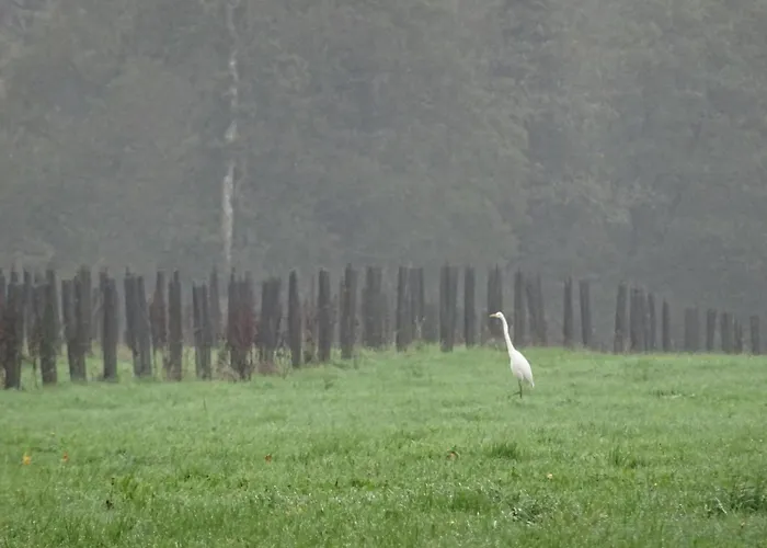 Tranquille Avec Poele Et Animaux Admis, Proche Nature - Fr-1-497-74 Casa vacanze Saint-Fraimbault-sur-Pisse