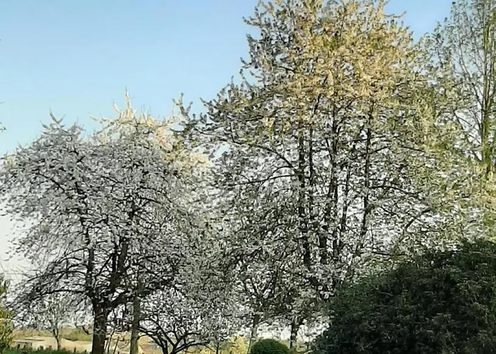 Tranquille Avec Poele Et Animaux Admis, Proche Nature - Fr-1-497-74 *